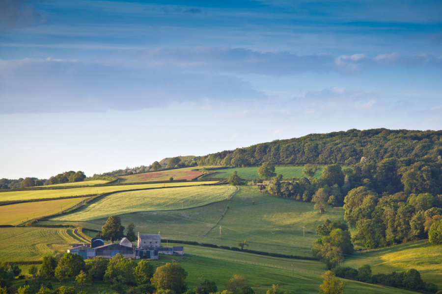 Can Farmers Really Drive Growth When Agriculture Is Just 1% of GDP?