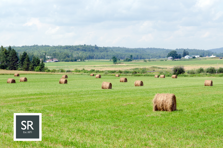  New Sustainable Farming Incentive (SFI) offer announced for 2026