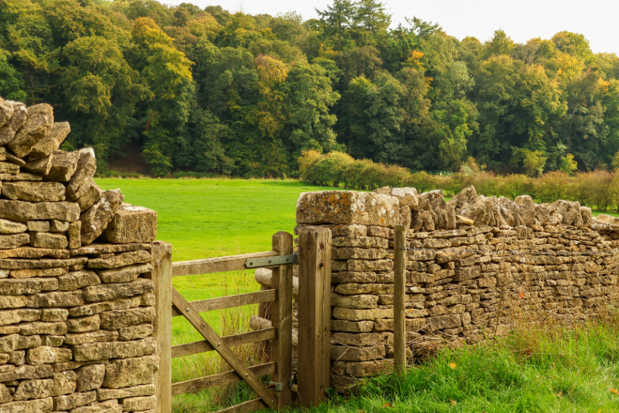 £345 Million Farming Package Unveiled - SFI, FETF and Capital Grant 2026 Updates