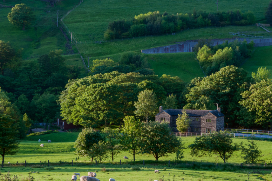 The 2026 Spring Statement: A Strategic 'Keep Calm & Carry On' Approach for UK Housing