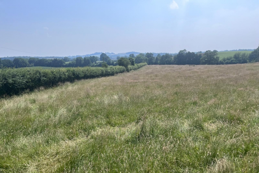 Sustainable Farming Incentive 2026 Opens for Small Farms