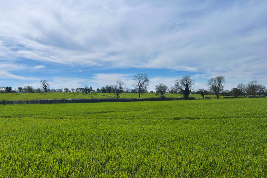 A Summer Funding Update: SFI 26, Capital Grants and FETF
