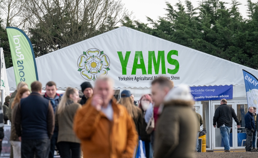 YAMS 2025 - Wednesday 5th February