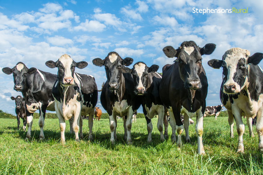 Important update on Sustainable Farming Incentive (SFI) 2024 applications