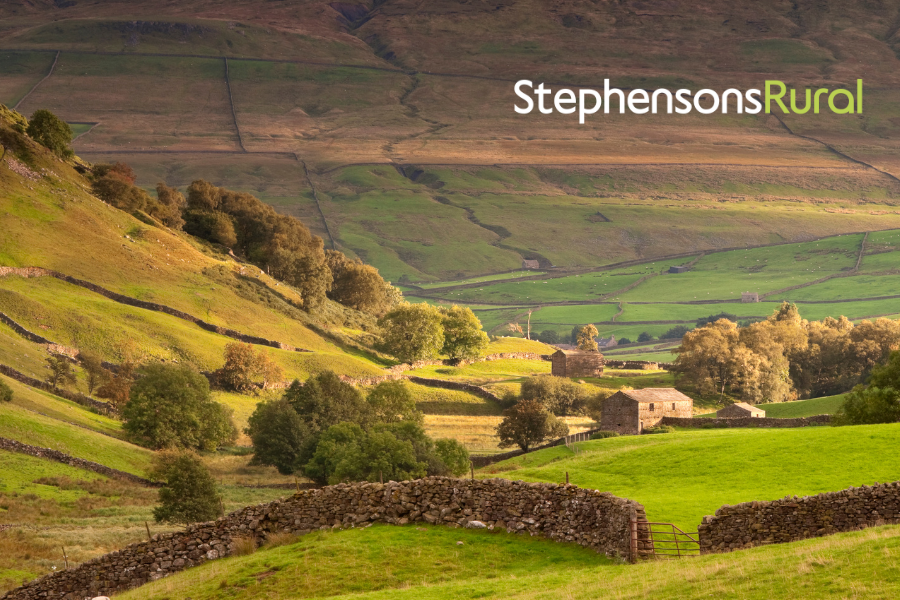 What’s Driving Land Prices When Farm Profits Are Under Pressure?