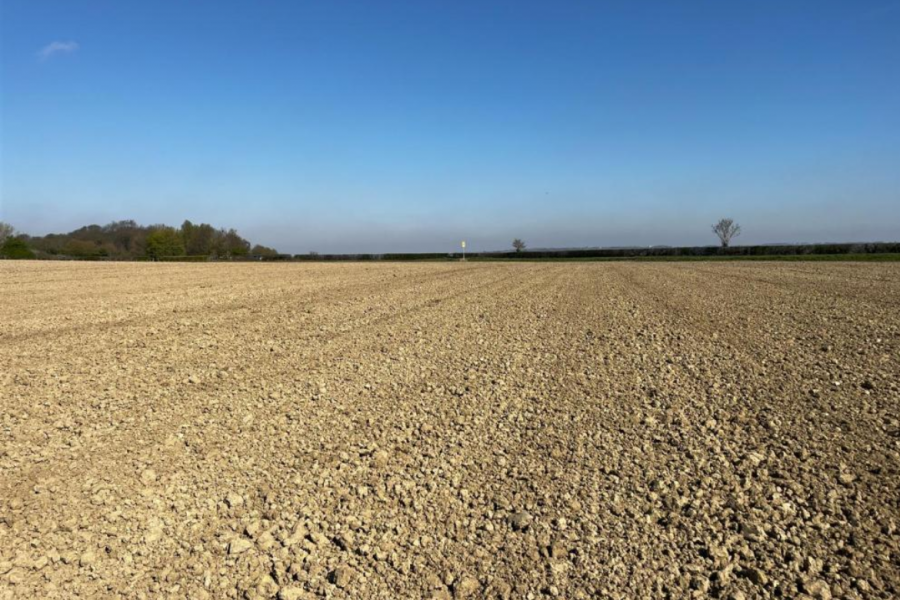 Farming Funding in 2025: What the Spending Review Means for Farmers and Landowners