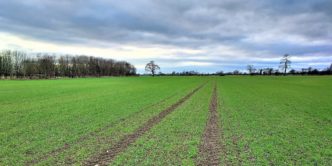 153 acres of Arable Land at Sutton on the Forest, York
