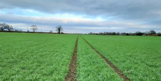 49.67 acres of Arable Land at Tollerton, Easingwold
