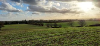 120 acres at Bilbrough, York - As a whole or in 9 Lots