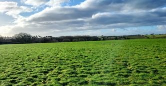 9.40 acre Grass Paddock at Follifoot, Harrogate
