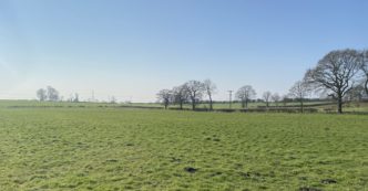 4.50 Acre Grass Paddock at Stillington, York