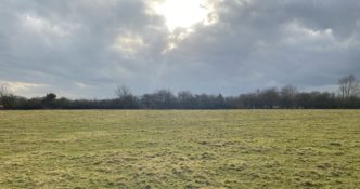 68.13 Acres of Grassland at Moor Monkton, York