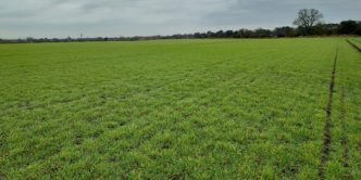190 Acres Between Strensall and Haxby