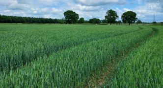 231.14 acres of arable land at New Parks Estate, York