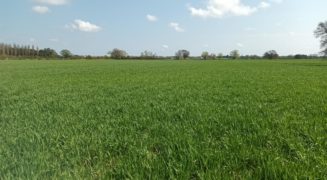 61.54 Ac (24.90 Ha) arable land at Hessay, York