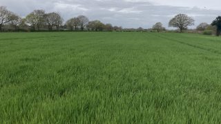 20.99Ac at Wigginton and Haxby, York